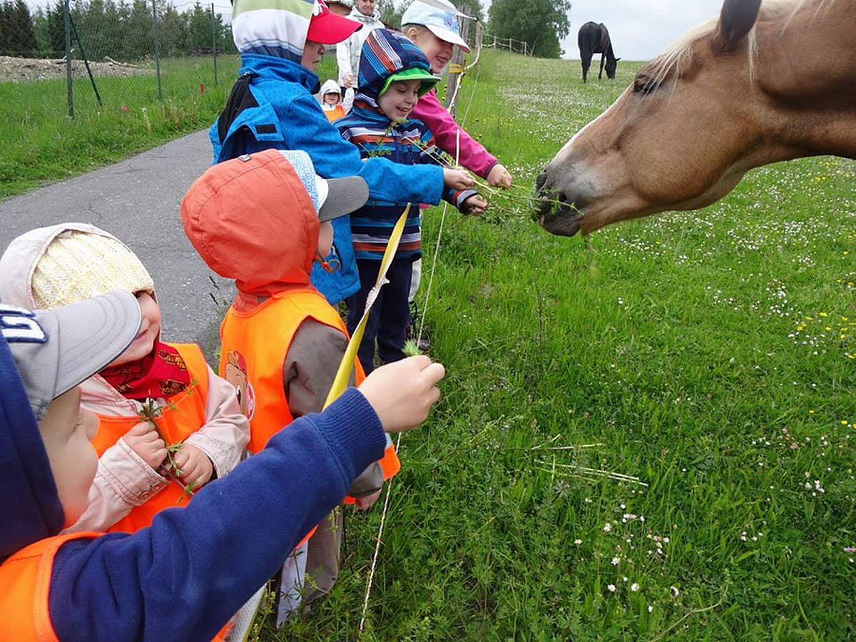 Školky v přírodě